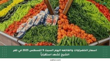 أسعار الخضراوات والفاكهة اليوم السبت 9 أغسطس 2025 في كفر الشيخ تشهد استقراراً